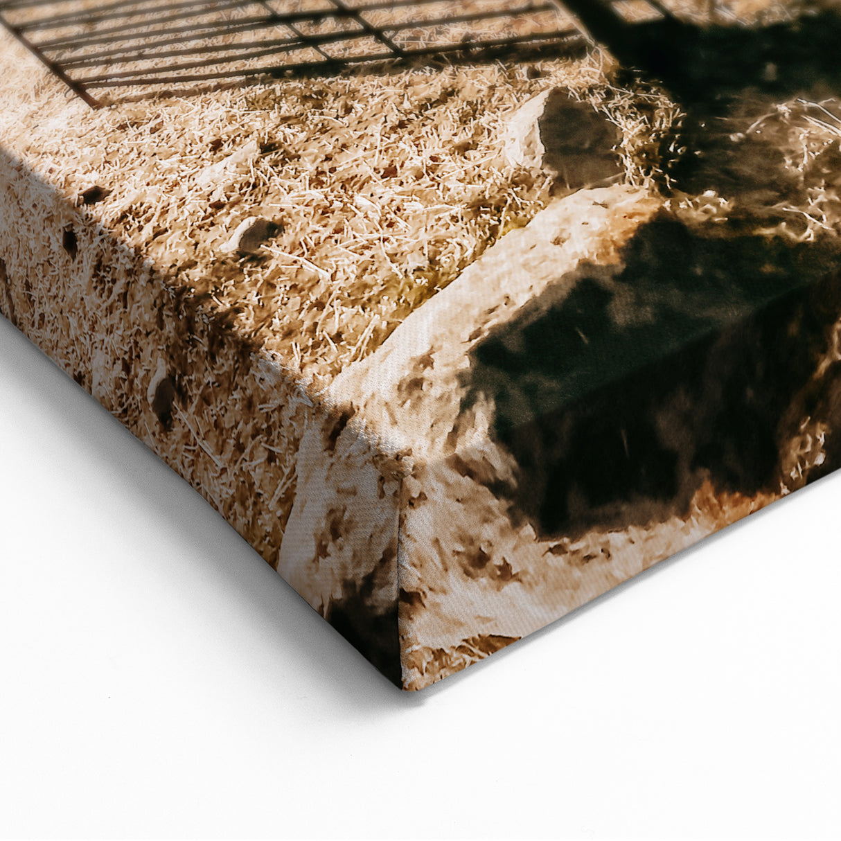 Farmhouse Wall Art - Pastoral Sheep in Field with Rustic Country Charm