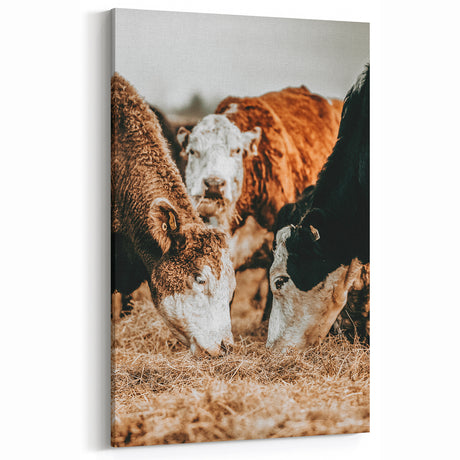 Farmhouse Wall Art - Rustic Cows in Close-Up with Country Farm Charm