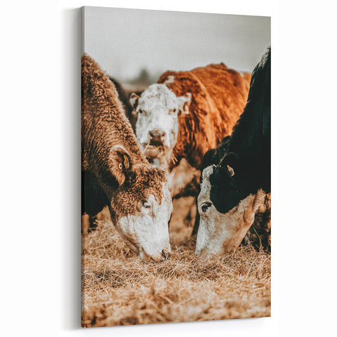 Farmhouse Wall Art - Rustic Cows in Close-Up with Country Farm Charm