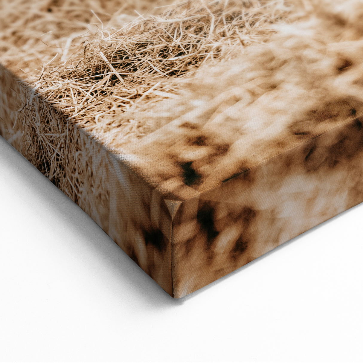Farmhouse Wall Art - Rustic Cows in Close-Up with Country Farm Charm