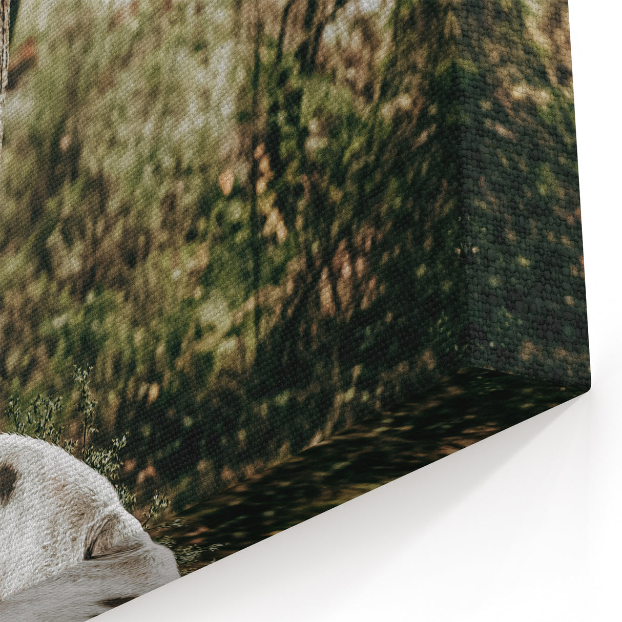 Farmhouse Wall Art - Rustic Pig in Wooded Path with Country Farm Charm
