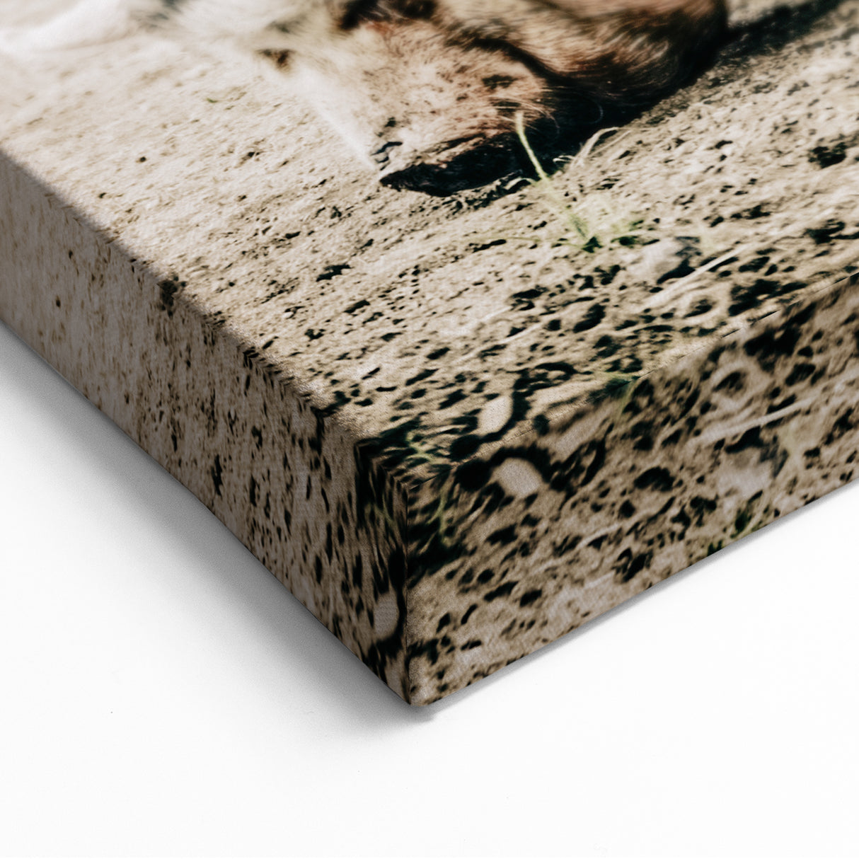 Farmhouse Wall Art - Rustic Pig on Farm with Vintage Country Charm