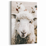 Farmhouse Wall Art - Adorable Sheep Close-Up with Rustic Farm Charm