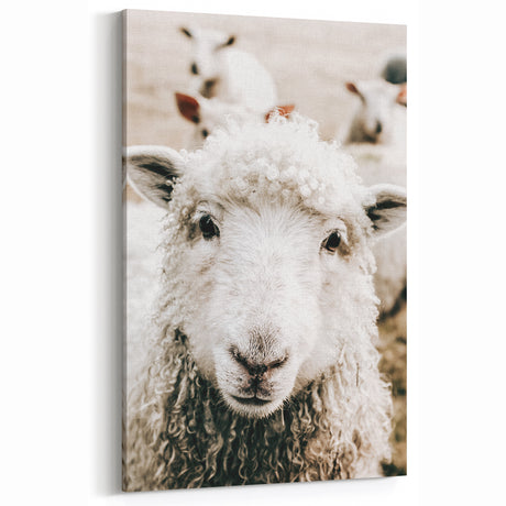 Farmhouse Wall Art - Adorable Sheep Close-Up with Rustic Farm Charm