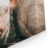 Farmhouse Wall Art - Cute Piglet Close-Up with Rustic Farmhouse Charm