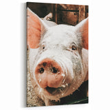 Farmhouse Wall Art - Playful Pig Close-Up with Rustic Farmhouse Charm