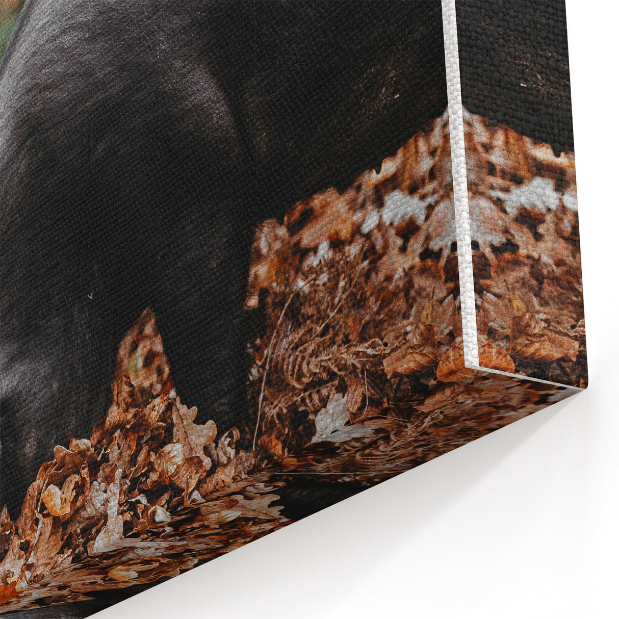 Farmhouse Wall Art - Pig Foraging in Autumn Leaves with Rustic Charm