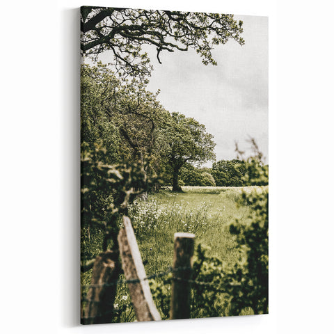 Farmhouse Wall Art - Scenic Tree-Lined Field with Rustic Country Charm