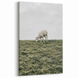 Farmhouse Wall Art - Grazing Sheep in Open Field with Rustic Charm