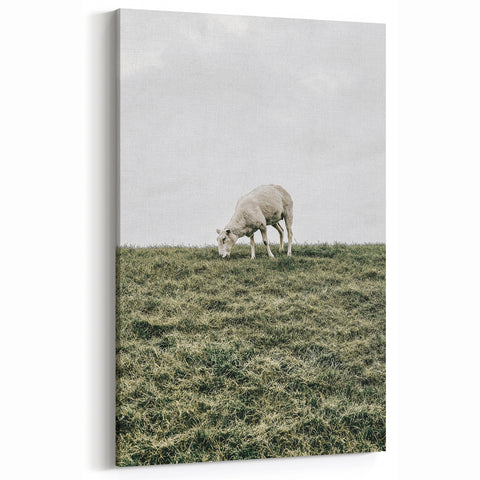 Farmhouse Wall Art - Grazing Sheep in Open Field with Rustic Charm