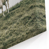Farmhouse Wall Art - Grazing Sheep in Open Field with Rustic Charm