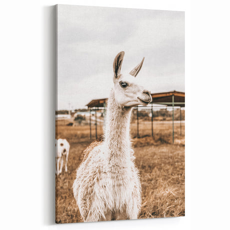 Farmhouse Wall Art | Rustic Llama Decor | Vintage Country Style Print