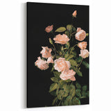 Dark Moody Wall Art - Soft Pink Roses for Elegant Floral Home Decor