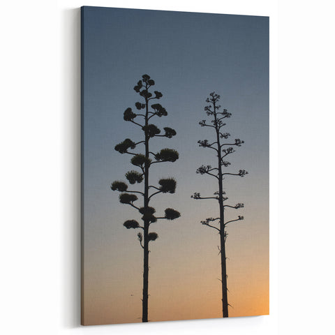 Desert Plant Silhouettes - Peaceful Sunset Silhouette of Agave Trees