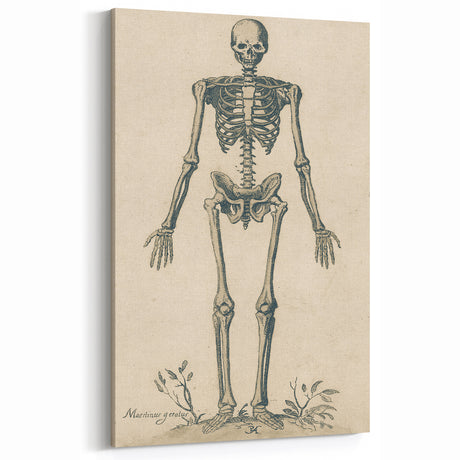 Medieval Gothic Canvas - Vintage Skeleton Art for Dark Decor Style