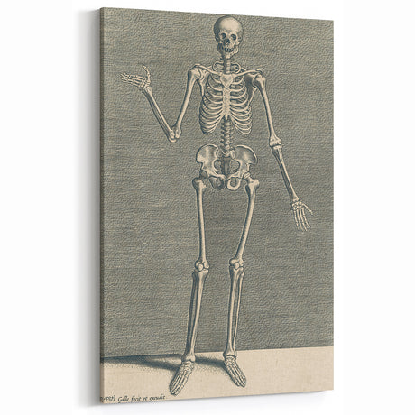 Classic Gothic Skeleton Print - Medieval Dark Decor for Vintage Style