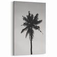 Black and White Palm Tree Silhouette - Minimalist Coastal Wall Art Print