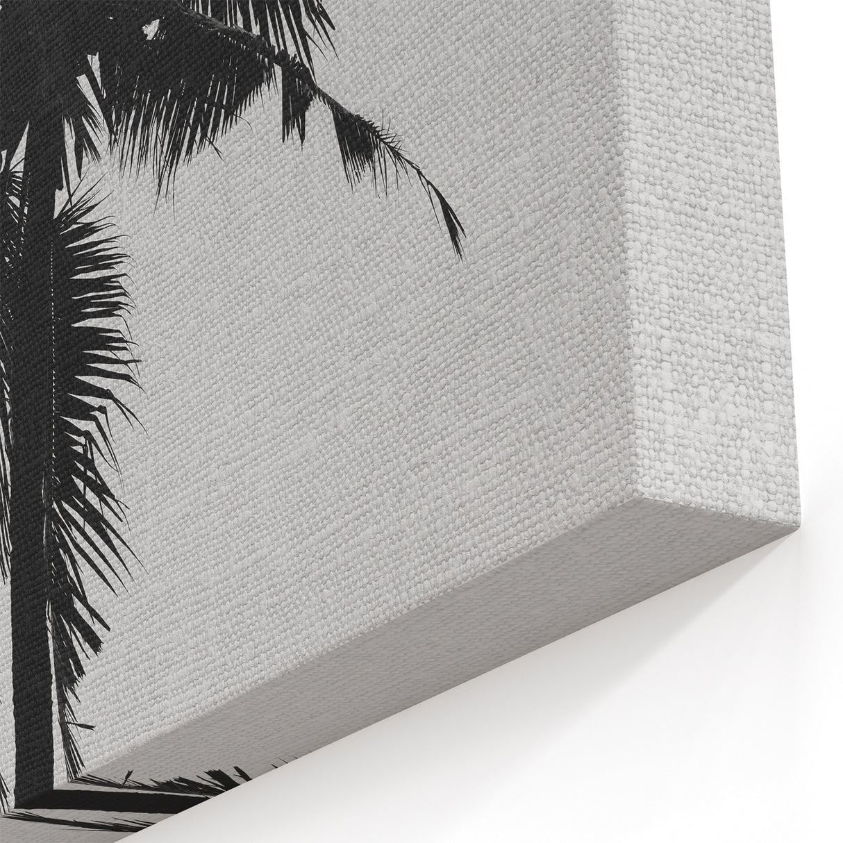 Black and White Palm Tree Silhouette - Minimalist Coastal Wall Art Print