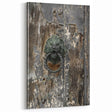Weathered Lion Door Knocker Wall Art – Rustic Elegance Decor
