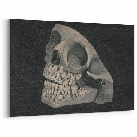 Dark Decor Style - Gothic Skull Art for Vintage Gothic Wall Decor