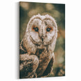 Barn Owl Wall Art – Rustic Farmhouse Nature-Inspired Decor Print