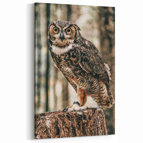 Regal Owl Wall Art – Rustic Farmhouse Nature-Inspired Decor Print