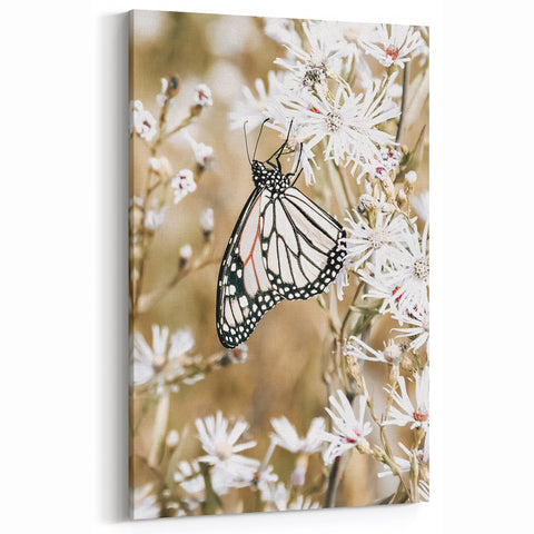 Farmhouse Wall Art - Butterfly on White Flowers in Rustic Meadow Print