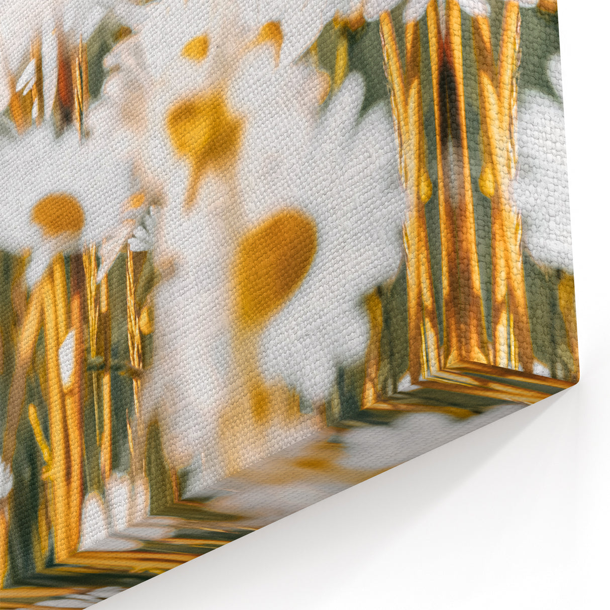 Farmhouse Wall Art - Bright Sunlit Daisies in Rustic Meadow Print