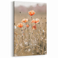 Farmhouse Wall Art - Delicate Poppies in Sunlit Meadow Print