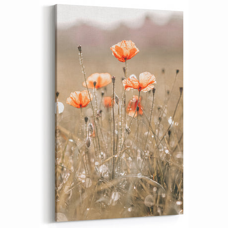 Farmhouse Wall Art - Delicate Poppies in Sunlit Meadow Print