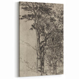 Forest Silhouette Etching - Mysterious Gothic Nature Wall Art Decor