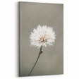 Farmhouse Wall Art - Delicate Dandelion in Soft Focus Minimalist Print