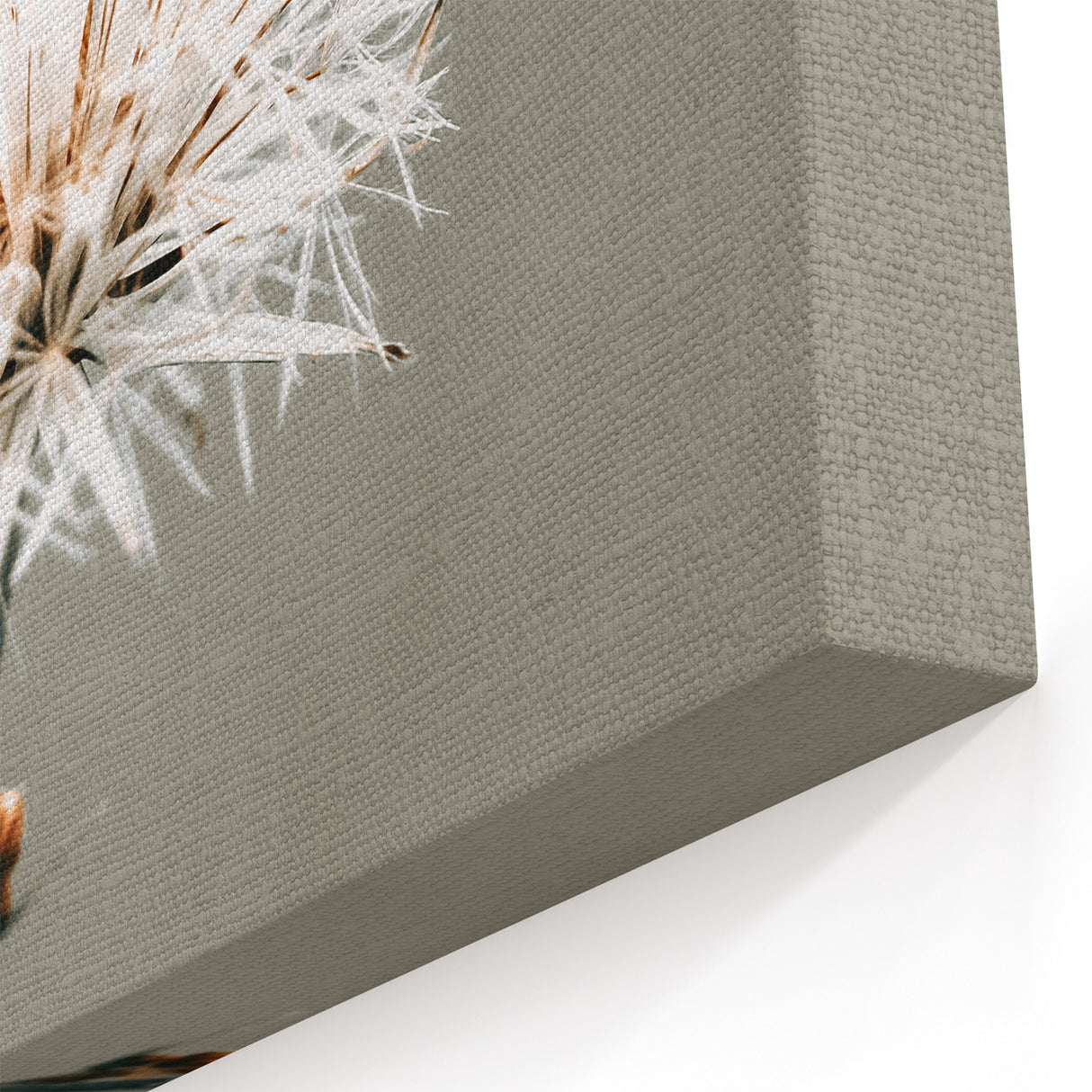 Farmhouse Wall Art - Delicate Dandelion in Soft Focus Minimalist Print