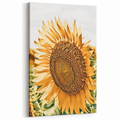 Farmhouse Wall Art - Radiant Sunflower in Rustic Country Style Print
