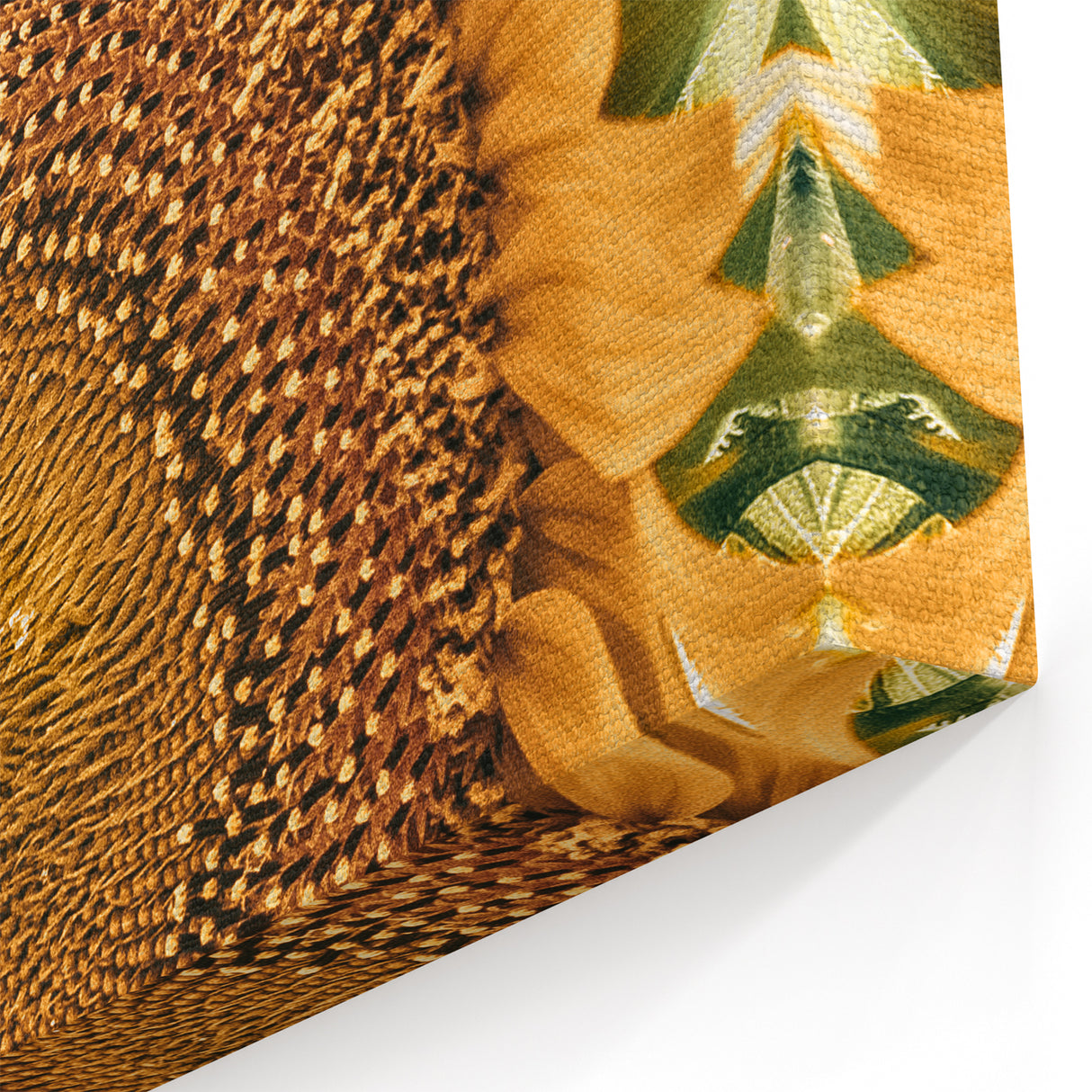 Farmhouse Wall Art - Radiant Sunflower in Rustic Country Style Print