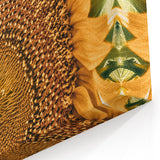 Farmhouse Wall Art - Radiant Sunflower in Rustic Country Style Print