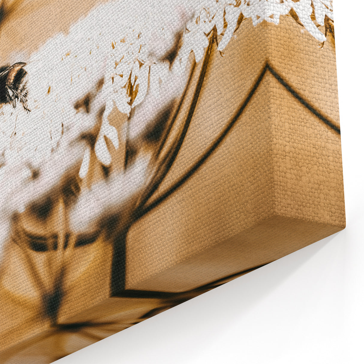 Farmhouse Wall Art - Bee on White Flowers in Rustic Field Print