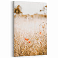 Farmhouse Wall Art - Delicate Poppies in Golden Field Rustic Style Print