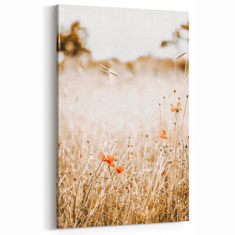 Farmhouse Wall Art - Delicate Poppies in Golden Field Rustic Style Print
