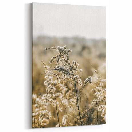 Farmhouse Wall Art - Soft Sunlit Wildflowers in Rustic Field Print