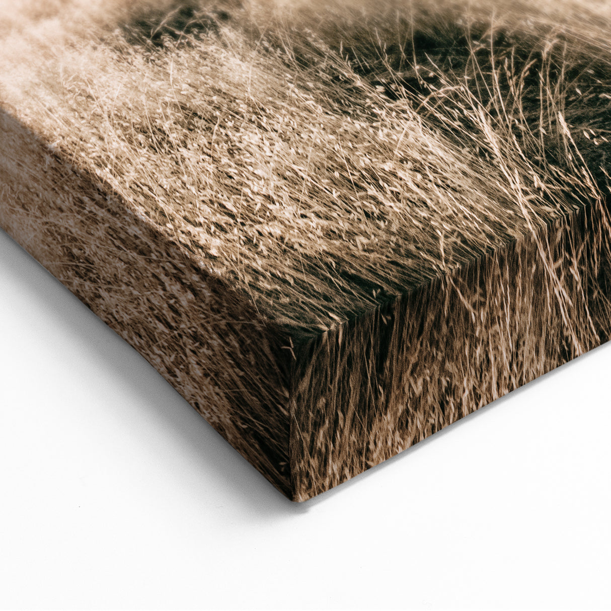 Farmhouse Wall Art - Golden Field Landscape for Rustic Country Decor