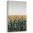 Farmhouse Wall Art - Vibrant Sunflower Field for Rustic Country Decor