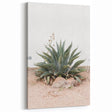 Farmhouse Wall Art - Desert Agave Plant for Rustic Country Decor