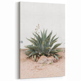 Farmhouse Wall Art - Desert Agave Plant for Rustic Country Decor