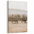 Farmhouse Wall Art - Cows Grazing in Pasture for Rustic Country Decor