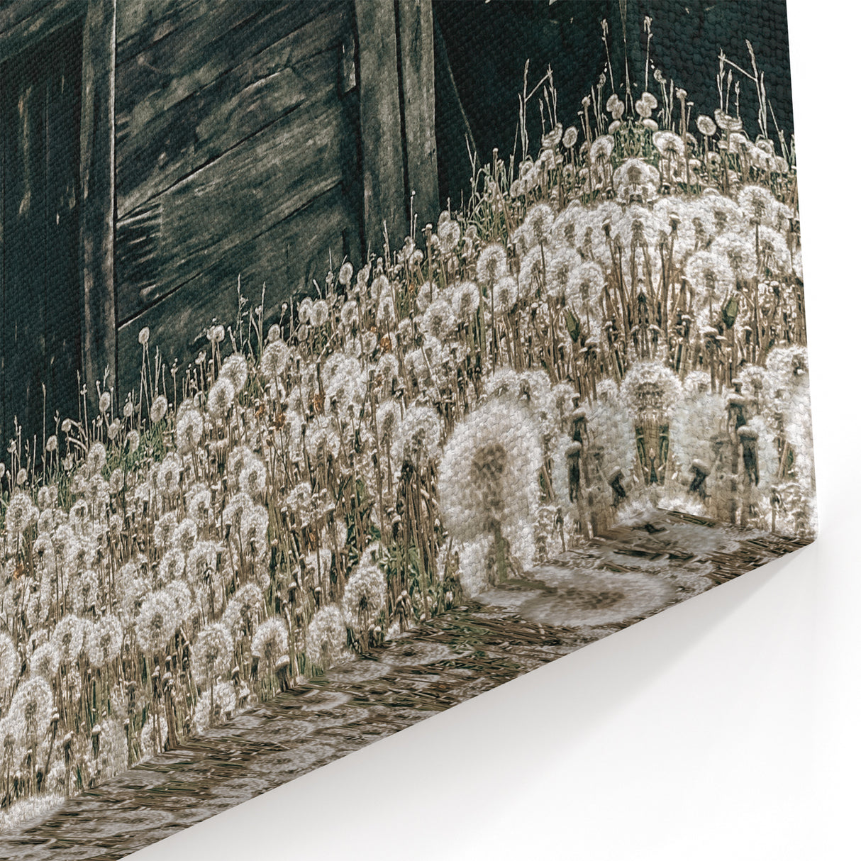 Vintage Farmhouse Wall Art: Rustic Barn with Dandelion Meadow