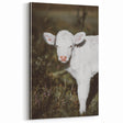 Farmhouse Wall Art: Rustic Calf Portrait in Country Meadow Décor