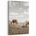 Farmhouse Wall Art: Horses Grazing in Rustic Meadow Country Décor