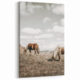Farmhouse Wall Art: Horses Grazing in Rustic Meadow Country Décor