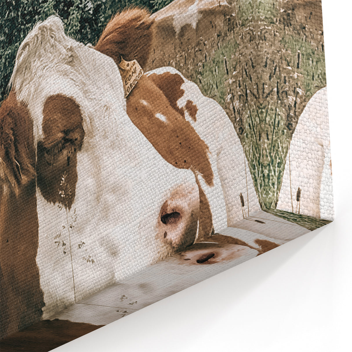 Farmhouse Wall Art: Cows Resting in Mountain Meadow Country Décor
